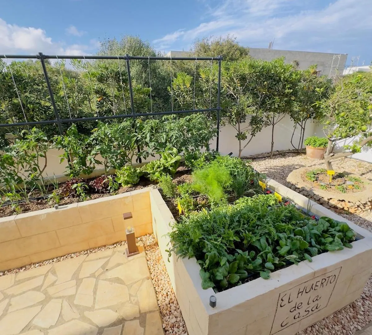 Villa Rafael Punta Prima   Punta Prima (Menorca)